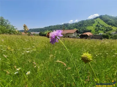 Deschidere spre crestele alpine+ documentatie turistica, 4.400 mp de inspiratie naturala - foto 18