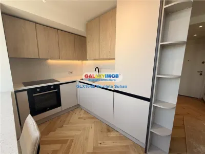 APARTAMENT SPECTACULOS PIATA VICTORIEI -PETRU RARES /2 PARCARI - foto 8
