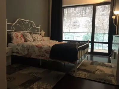 Deosebita prezentare in verdele padurii, Tampa Gardens - foto 3