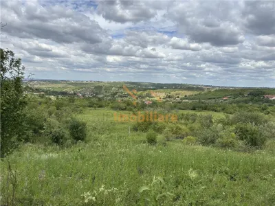 TEREN INTRAVILAN  | 1.824 MP  | DEALURI  | ORADEA - foto 3