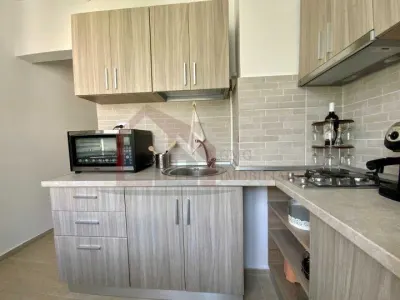 Apartament  2 camere  Floreasca - foto 5