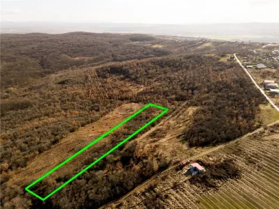 Reco Teren ideal pentru investitii- Saldabagiu de Munte - foto 7