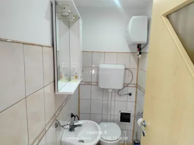 Resita Casa Zona Gradina Zoologica - foto 11