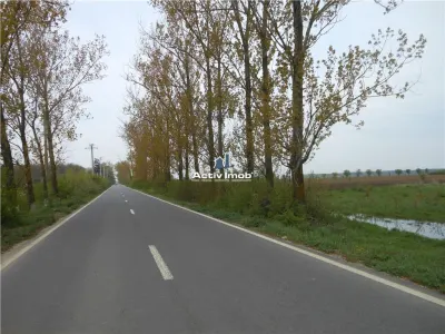 teren intravilan,  5000mp, Ciolpani - accept schimb - foto 6
