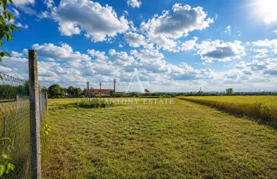 Antony Estate I Vanzare, Country House, Tileagd, Bihor - foto 9