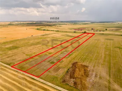RECO teren extravilan ideal pentru balastiera in Rosiori - foto 3