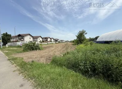Teren INTRAVILAN Brasov, 5500 mp, ideal proiect imobiliar - Brasov