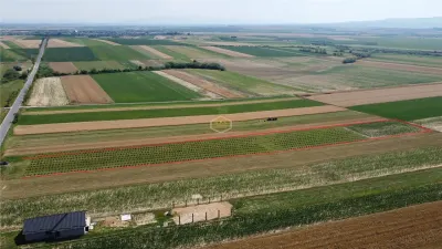 Teren intravilan cu plantatie | Posibilitate de parcelare - foto 4