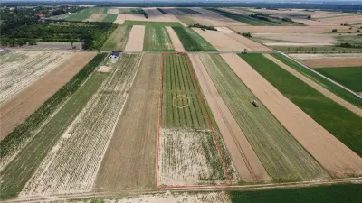 Teren intravilan cu plantatie | Posibilitate de parcelare - foto 6