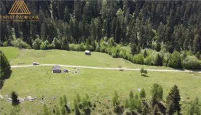 Teren de 10Ha in Bucovina BEST VIEW - foto 9
