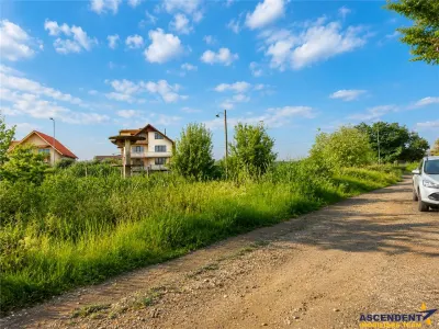Teren intravilan 10.000 mp, parcelabil, plan, acces asfaltat, Bod, Brasov - foto 5