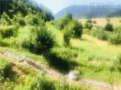 Apartament in natura in zona nepoluata,  Coasta Vie Sacele Cernatu - foto 3