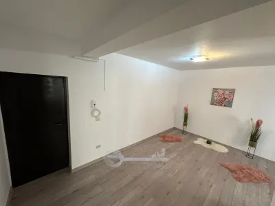 Ap 1 cam , 30 mp + balcon, loc parcare - 300EUR/lună, Ionel Teodorean - foto 5