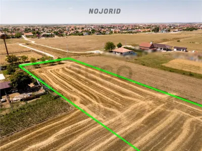 RECO Teren industrial in Nojorid la doar 6km de Oradea - foto 6