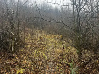 Teren intravilan 653 mp in Boldesti-Scaeni. - foto 9