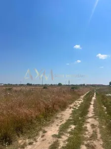 Vanzare teren - foto 3