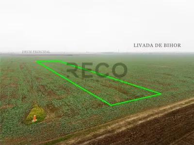 RECO Teren extravilan 5800 mp Livada de Bihor - foto 8