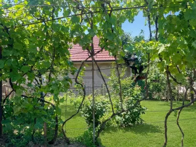 RECO Casa cu 5 camere in Oradea zona Oncea - foto 13