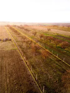 RECO Teren intravilan construbil 5342 mp-  sat.Hotar - foto 7