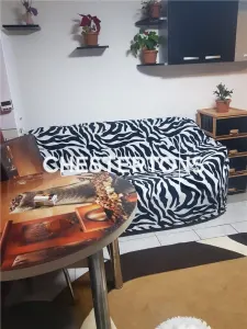 Casa la sol 4 camere + anexa separata, curte cu terasa si gradina, zona Anadalchioi - Coiciu, Constanta - foto 3
