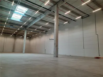Spatiu Industrial - 10500 mp - Logistica - Productie - Depozitare - Distributie - foto 8