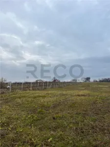 RECO Teren intravilan cu PUZ, la 4 minute de oras ,720 mp,Paleu - foto 2