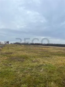 RECO Teren intravilan cu PUZ, la 4 minute de oras ,720 mp,Paleu - foto 6