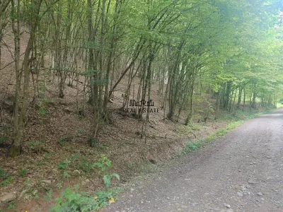 Teren in Bulzestii de Sus 3700mp - Bulzestii de Sus