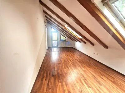 Vila nemobilata, spatioasa, Popas Pacurari - foto 7