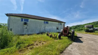 Farliug Casa sau Afacere 125 000 euro - foto 5