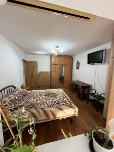SAGULUI - APARTAMENT 1 CAMERA - mobilat, utilat, etaj intermediar - foto 2