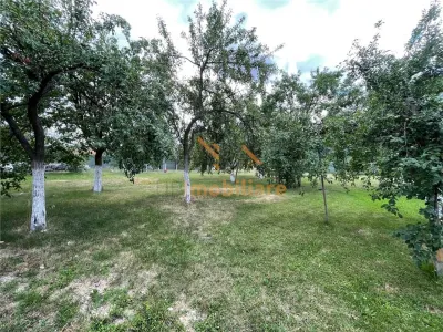 TEREN INTRAVILAN 8000 MP | PARTIAL IMPREJMUIT | PESTERE | BIHOR | - foto 4
