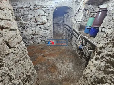 Imobil interbelic ultracentral Cluj-Napoca, potential de extindere - foto 14