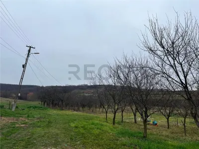 RECO Teren intravilan pentru casa 500 mp , Hidiselu de Sus - foto 6