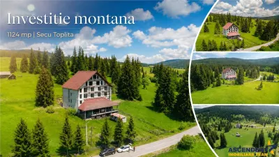 Complex montan 1.124 mp, Toplita Secu, investitie: turistica /retreat, cadru valoros - Secu
