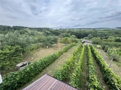 casa de vanzare P+M cu teren 3300 mp, Hidiselu de sus - foto 9