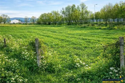 Teren extravilan 1.450 mp, din care curti constructii 312 mp, Sfantu Gheorghe - Sfantu Gheorghe