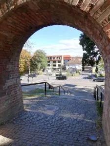 Cladire noua P+3E de inchiriat - zona Centrala, Sibiu - foto 12