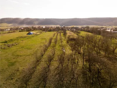 RECO Teren intravilan de vanzare in Betfia – locatie linistita, ideal pentru constructie - foto 4