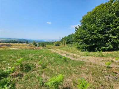 Alzza Real Estate – Teren intravilan de vanzare in Salicea, Cluj – 1170 mp cu PUZ aprobat - foto 6