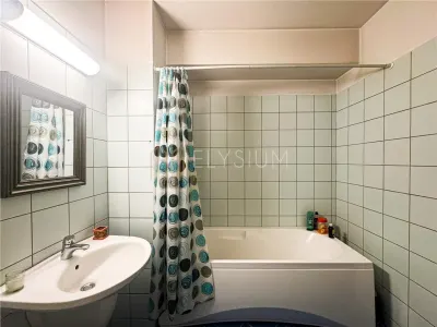 Apartament de inchiriat 2 camere Floreasca Central Park - foto 17