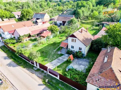 FILM!Areal apreciabil,casa+domeniu de 3.500mp,Sancraiu, aria Sfantu Gheorghe :  Brasov - foto 17