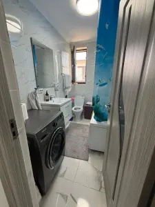 Casa individuala,mobilata si utilata complet, Bucium-Visan,400mp teren - foto 9