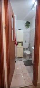Apartament 3 camere, Florilor,2 gr .sanitare,renovat,140000 Euro neg - foto 7