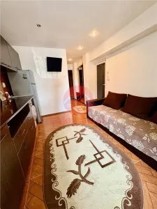 Garsoniera 40 mp, de Vanzare Inel 2 - foto 5