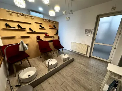 Inchiriere vila 10 camere, in Ploiesti, zona Bd. Castanilor - foto 12