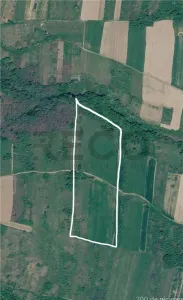 RECO Teren agricol 30.212 mp – ideal pentru livada sau plantatie de zmeura - foto 3