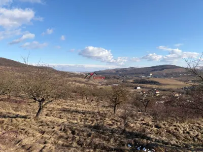 Teren Intravilan 586 mp în Rădaia ! Doar 18.500 € ! Zonă în plina dezvoltare! - foto 6