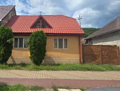 Casa în Viisoara, BN, stradal – teren generos 1265 mp - Viisoara