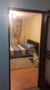 LIPOVEI - APARTAMENT 1 CAMERA - mobilat,utilat, decomandat - foto 2
